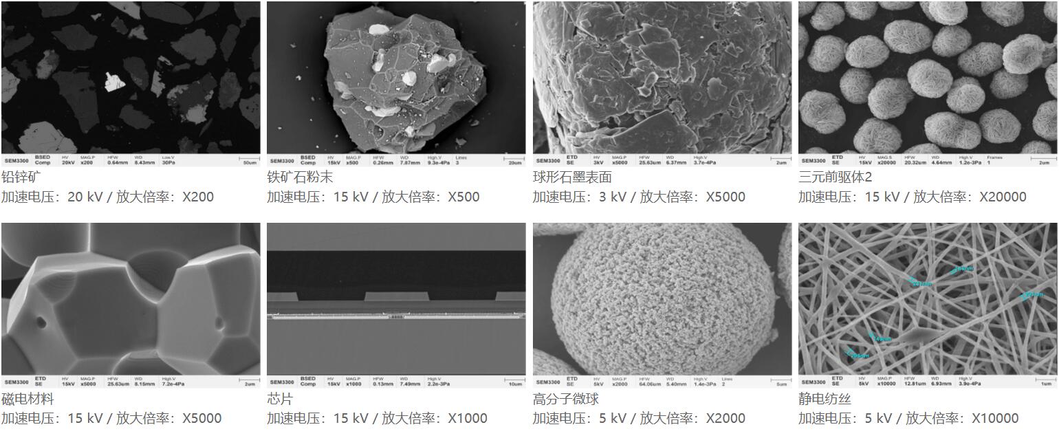 國(guó)儀量子 SEM3300鎢燈絲掃描電子顯微鏡應(yīng)用案例