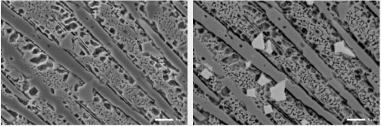 國儀量子 SEM3200鎢燈絲掃描電子顯微鏡