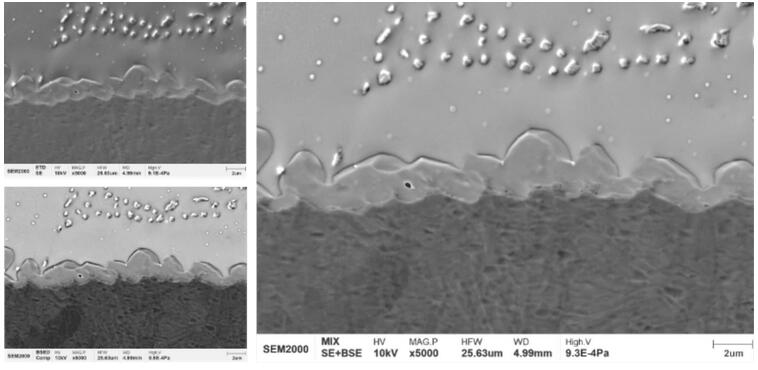 國儀量子 SEM2000鎢燈絲掃描電子顯微鏡