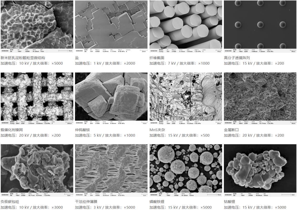 國儀量子 SEM2000鎢燈絲掃描電子顯微鏡