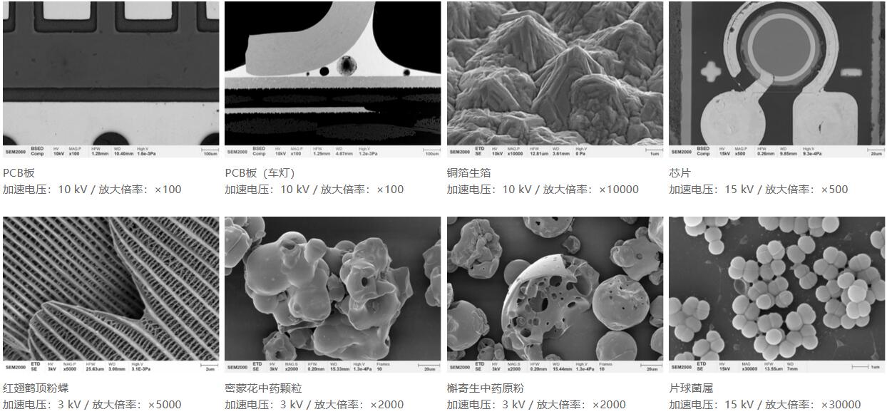 國儀量子 SEM2000鎢燈絲掃描電子顯微鏡