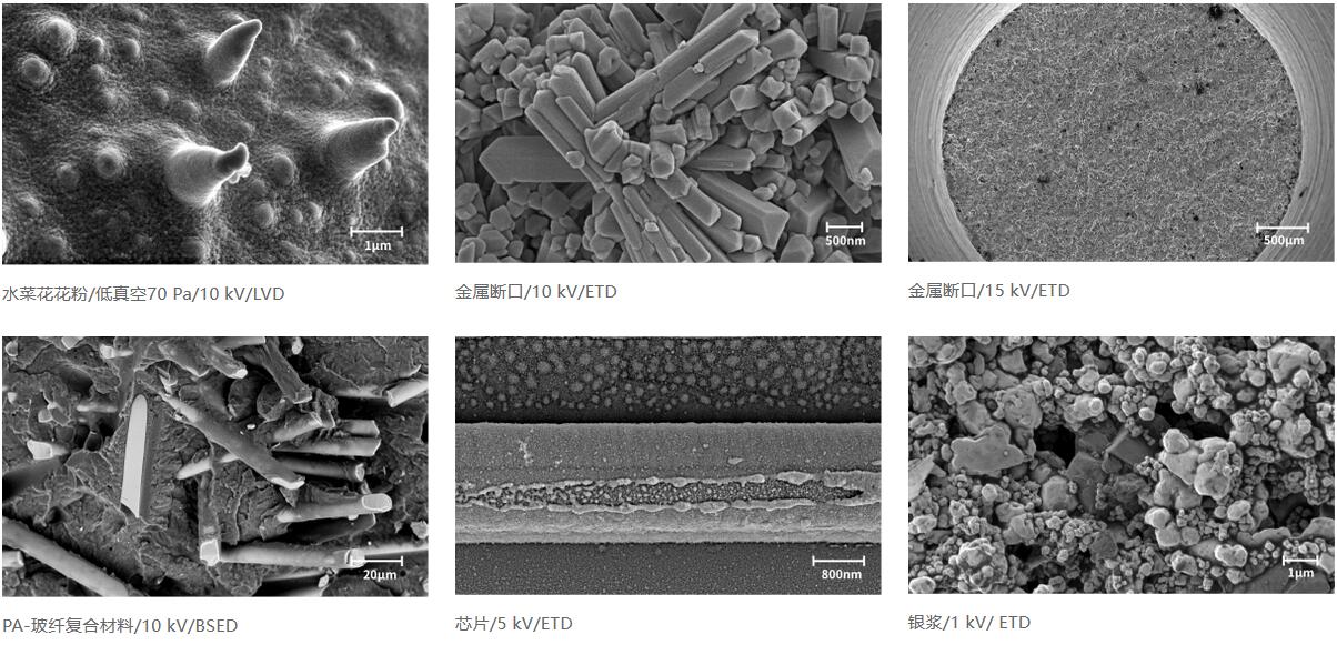 國儀量子 SEM4000Pro場發(fā)射掃描電子顯微鏡